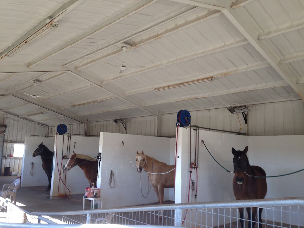 Cold River Equine Sports Medicine & Rehabilitation | 5901 Monroe Hwy, Cresson, TX 76035, USA | Phone: (817) 578-9604