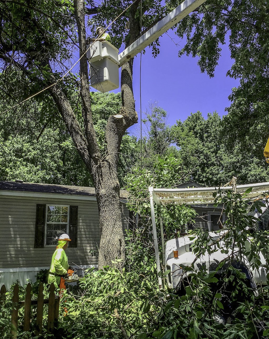 Alfreds Superior Tree Services | 4631 W 47th St S, Wichita, KS 67215, USA | Phone: (316) 522-9458