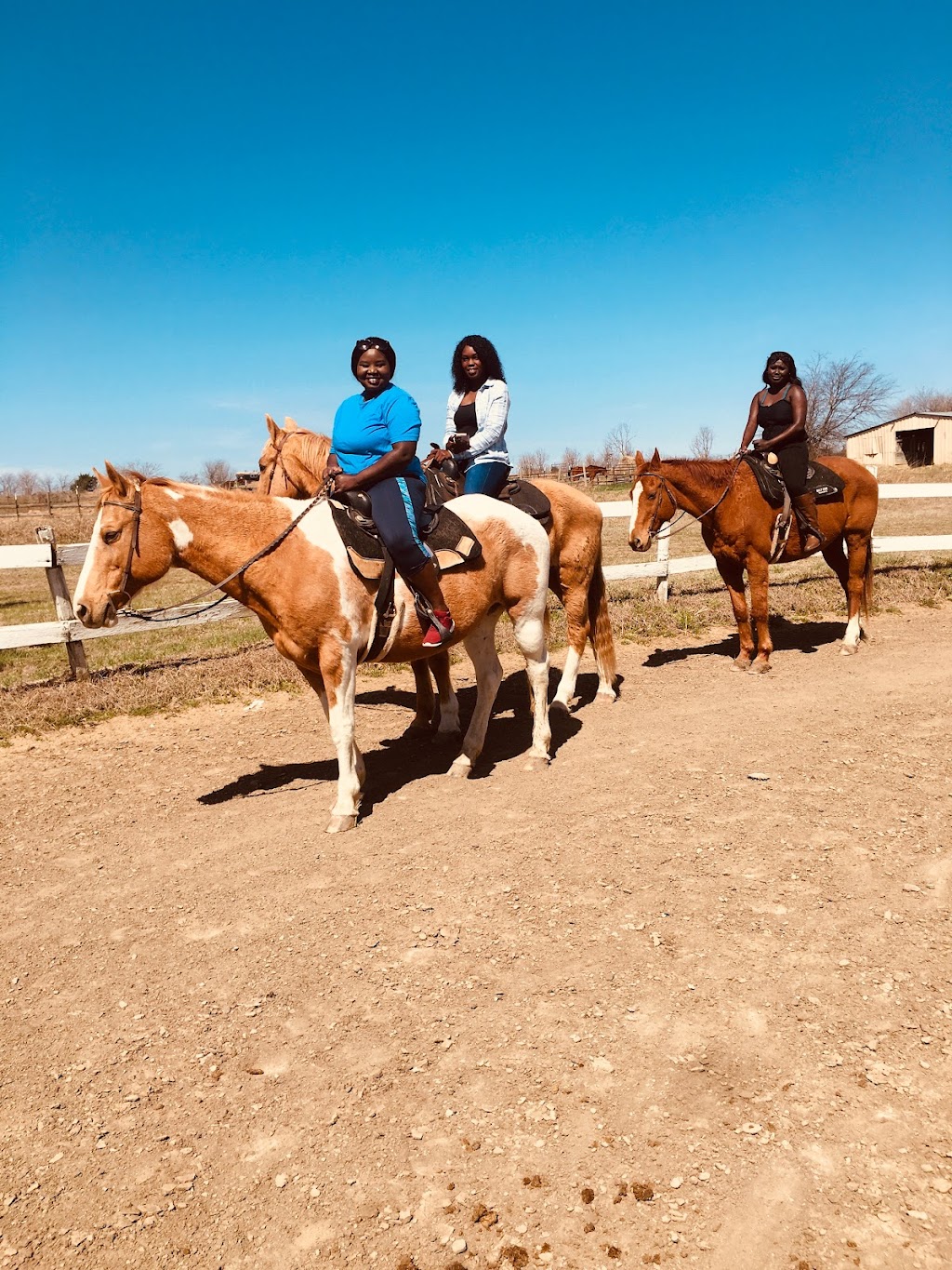 Heritage Hill Equestrian Center | 8882 Co Rd 392, Princeton, TX 75407, USA | Phone: (972) 734-9800