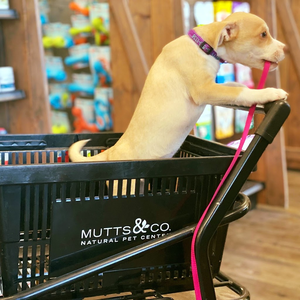 Mutts & Co. | 6465 Pullman Dr, Lewis Center, OH 43035, USA | Phone: (740) 200-4066