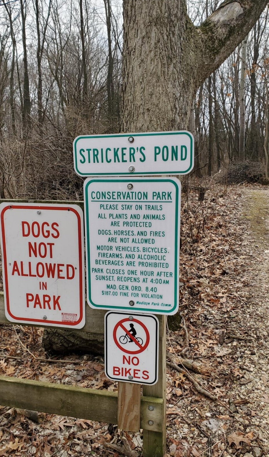 Strickers Pond Conservation Park | 7214 Longmeadow Rd, Madison, WI 53717, USA | Phone: (608) 266-4711