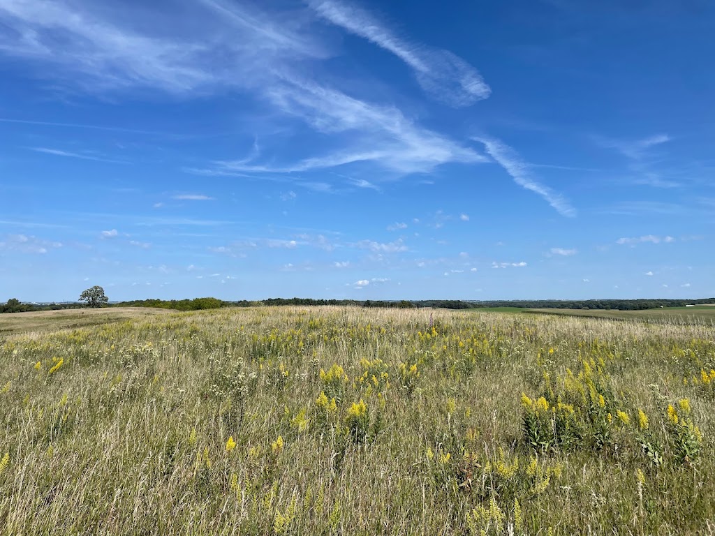 Hauser Road Prairie | 5769 Hauser Rd, Waunakee, WI 53597, USA | Phone: (608) 845-7065