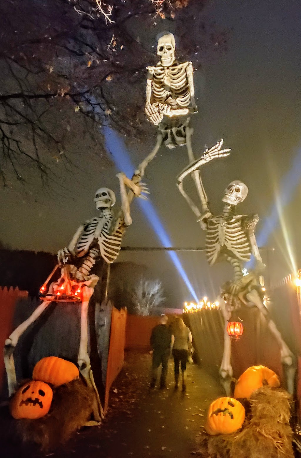 Pure Terror Scream Park | 1010 NY-17M, Monroe, NY 10950, USA | Phone: (845) 300-4448