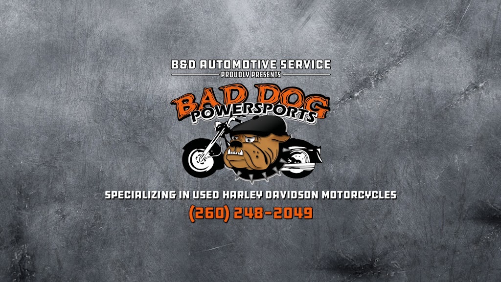 Bad Dog PowerSports | 2179 E Paige Rd, Columbia City, IN 46725, USA | Phone: (260) 248-2403