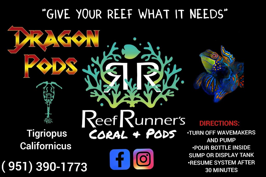 Reef Runners Garage | Cam Los Banos, San Jacinto, CA 92583, USA | Phone: (951) 390-1773