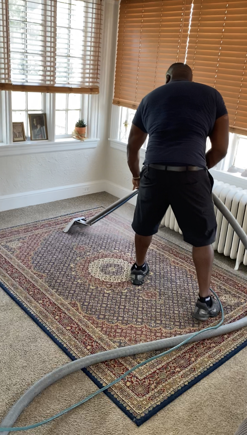 King Steamer Carpet Cleaning | PO Box 1381, Port Chester, NY 10573, USA | Phone: (914) 774-4925