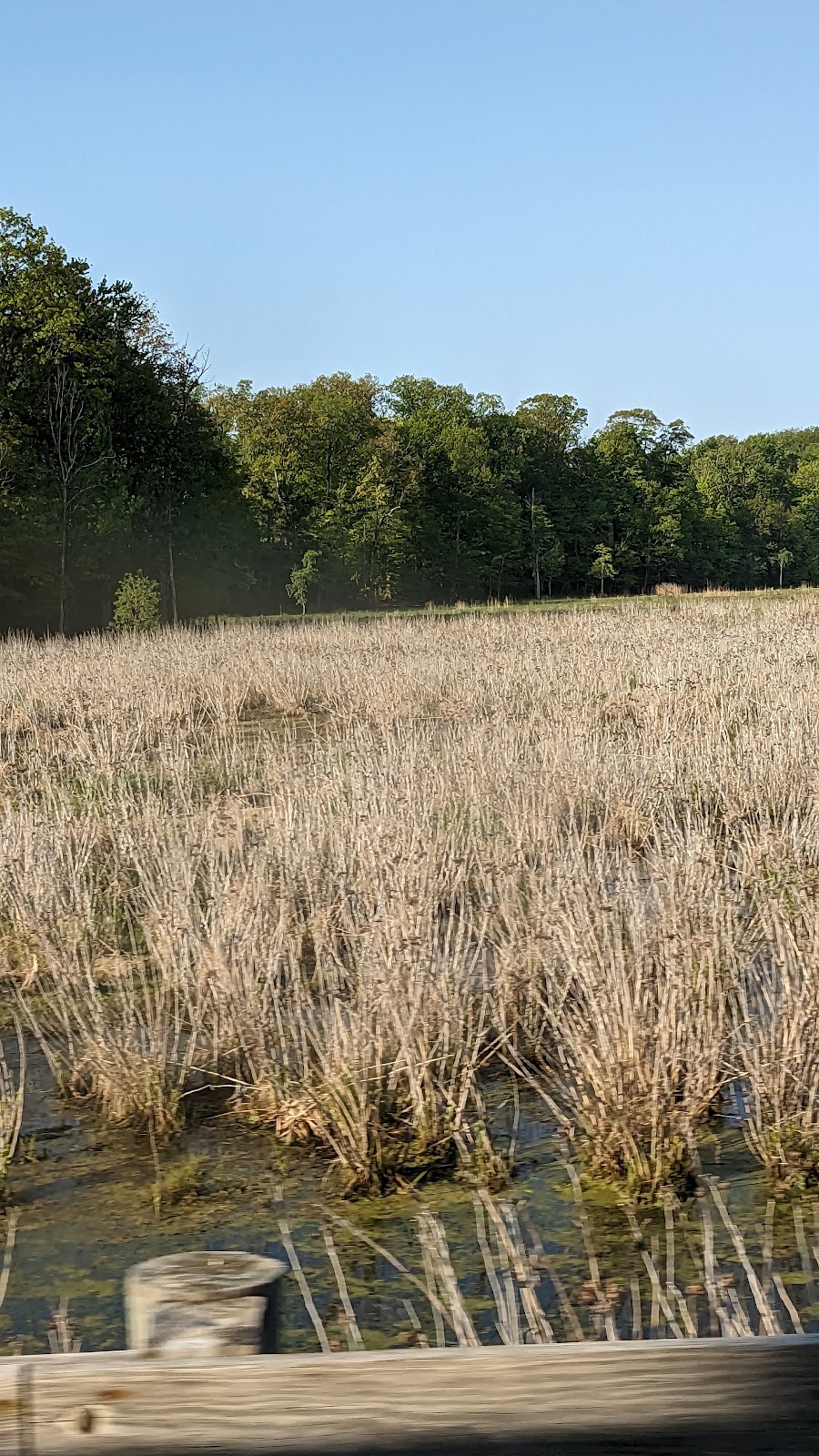 Mentor Marsh Nature Center | 5185 Corduroy Rd, Mentor, OH 44060, USA | Phone: (440) 257-0777