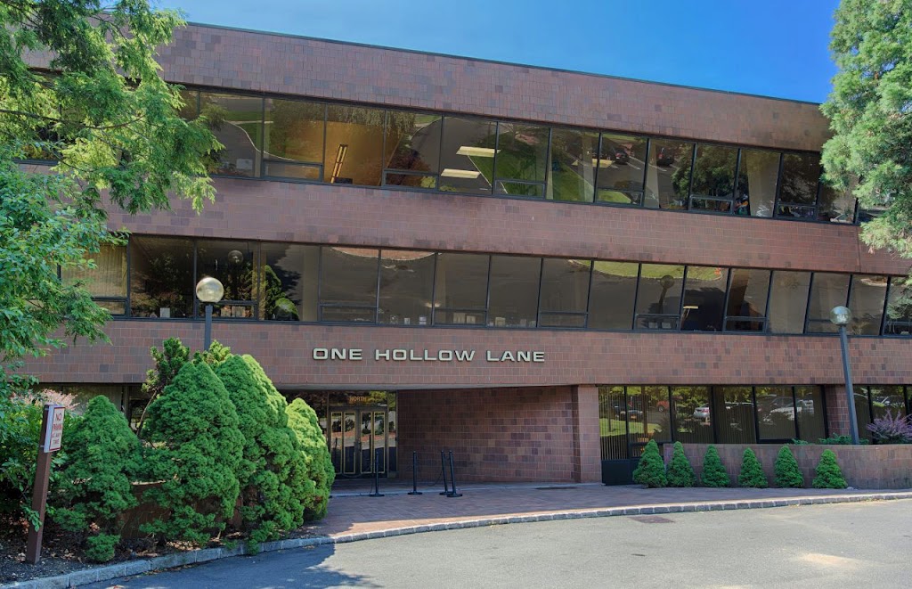 The Spine & Pain Institute of New York | 1 Hollow Ln #102, New Hyde Park, NY 11042, USA | Phone: (516) 587-5500