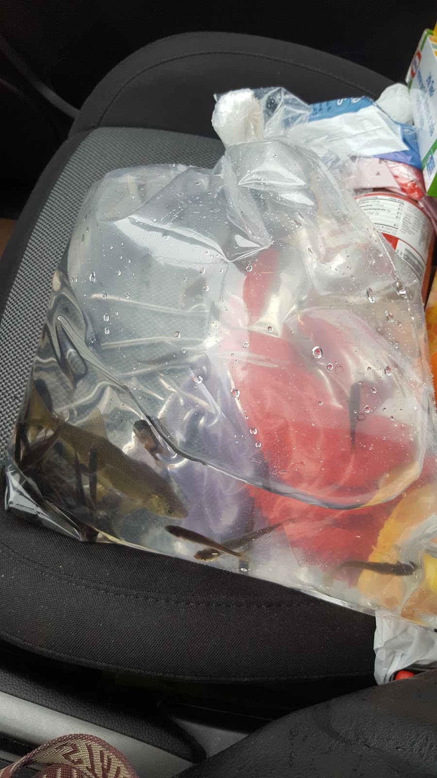 Johns Bait & Tackle | 19826 Roberds Lake Blvd, Faribault, MN 55021, USA | Phone: (507) 332-6787