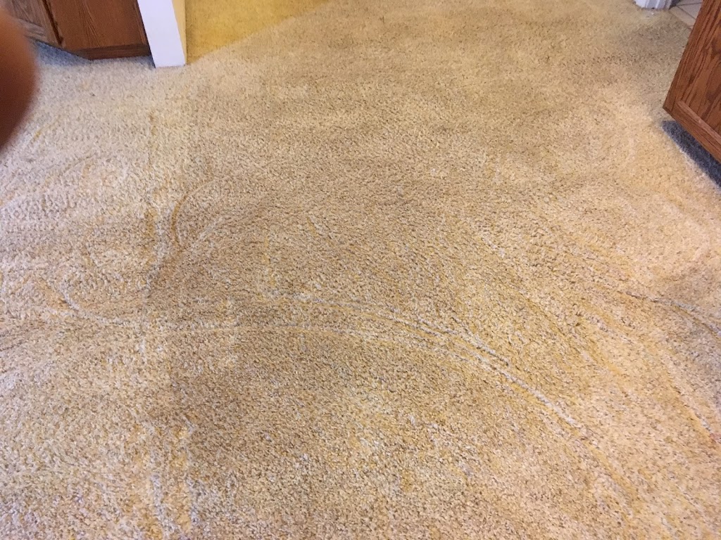 W L Jones Carpet Cleaning | 1060 Oakdale Ln, Lemoore, CA 93245 | Phone: (559) 925-1733