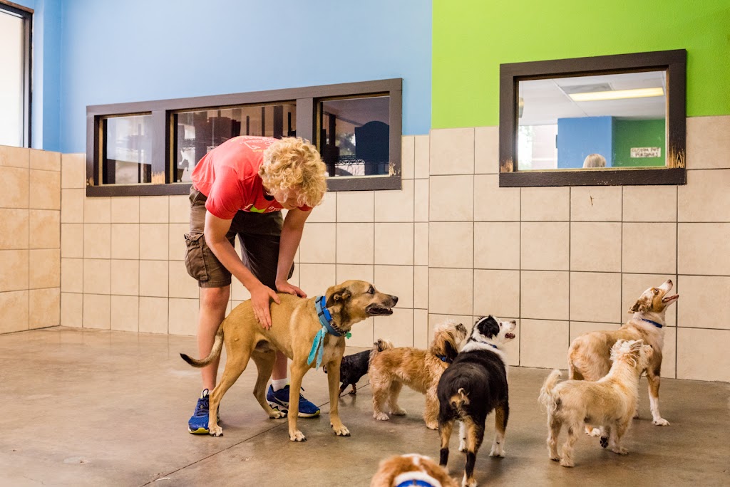 Mud Puppies | 12233 Ranch Rd 620 N #110A, Austin, TX 78750, USA | Phone: (512) 249-2498