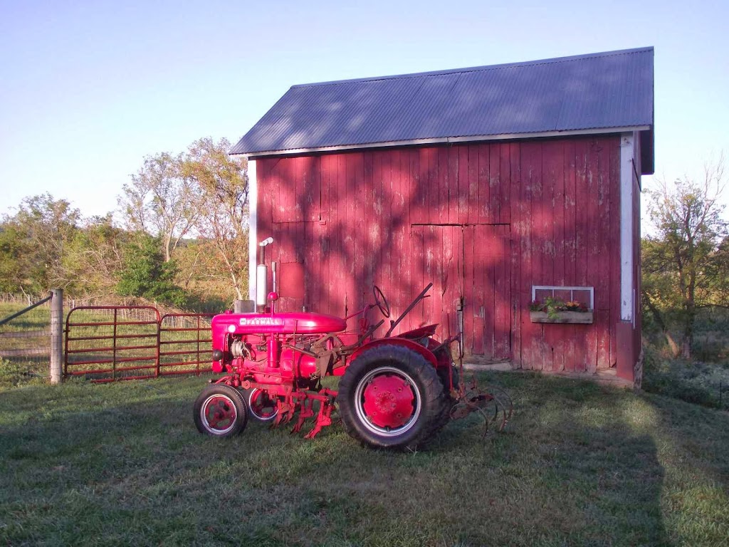 Circle M Market Farm BnB | 1784 County Hwy H, Blanchardville, WI 53516, USA | Phone: (608) 636-4652