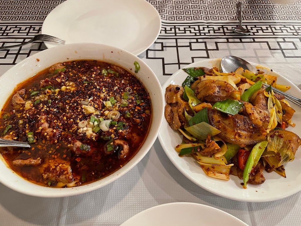 Lao Sze Chuan | 1331 Ogden Ave, Downers Grove, IL 60515, USA | Phone: (630) 663-0303
