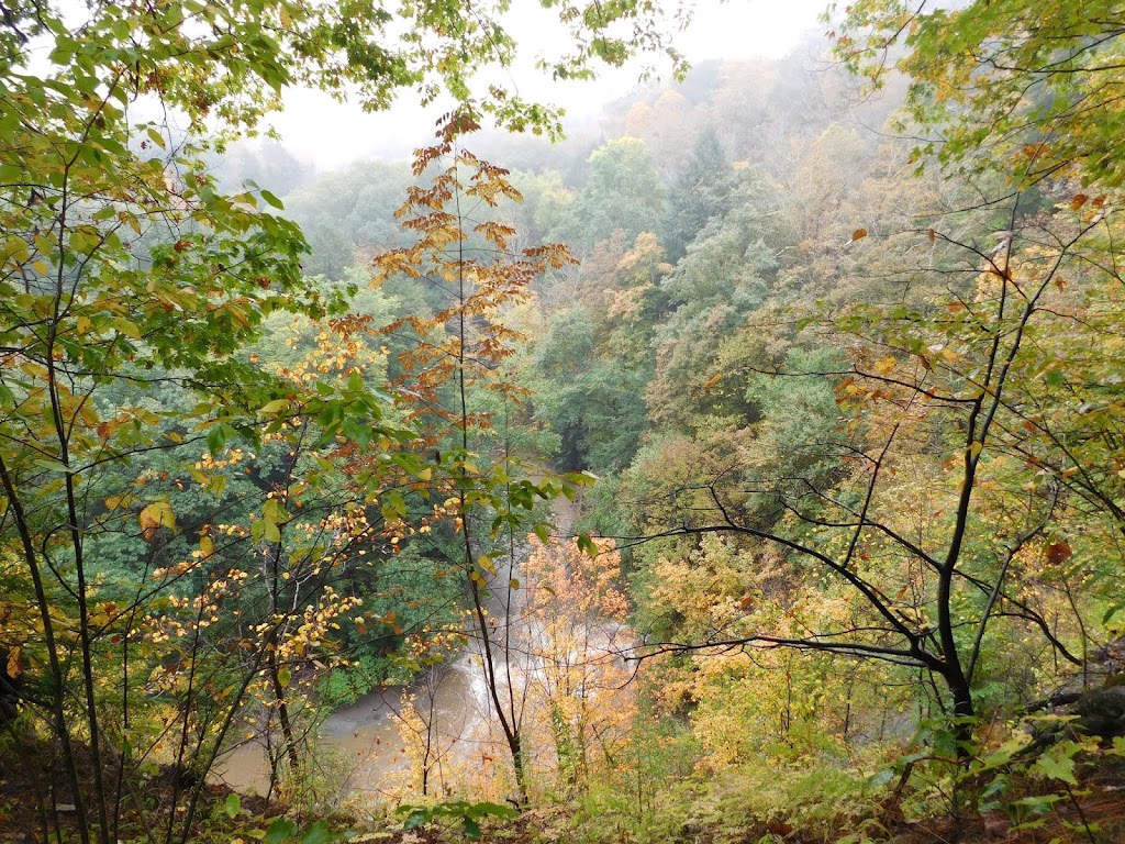 Kenneglenn Scenic and Nature Preserve | 11663 Strykersville Rd, East Aurora, NY 14052, USA | Phone: (716) 687-1225