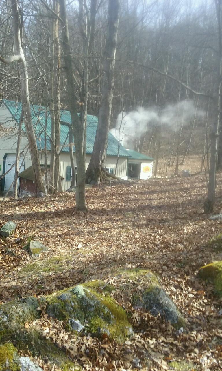 Coreys Sugar Shack | 105 hawleys corner rd, Highland, NY 12528, USA | Phone: (845) 706-2484