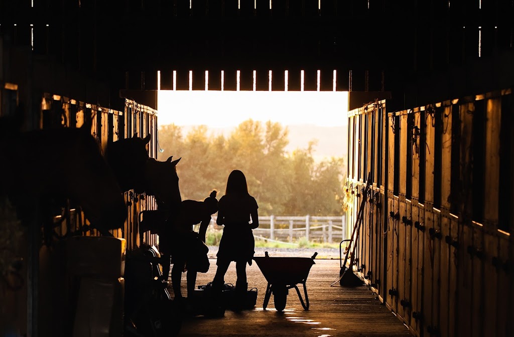 Horse Farm Tours | 3429 Montavesta Rd, Lexington, KY 40502, USA | Phone: (859) 268-2906