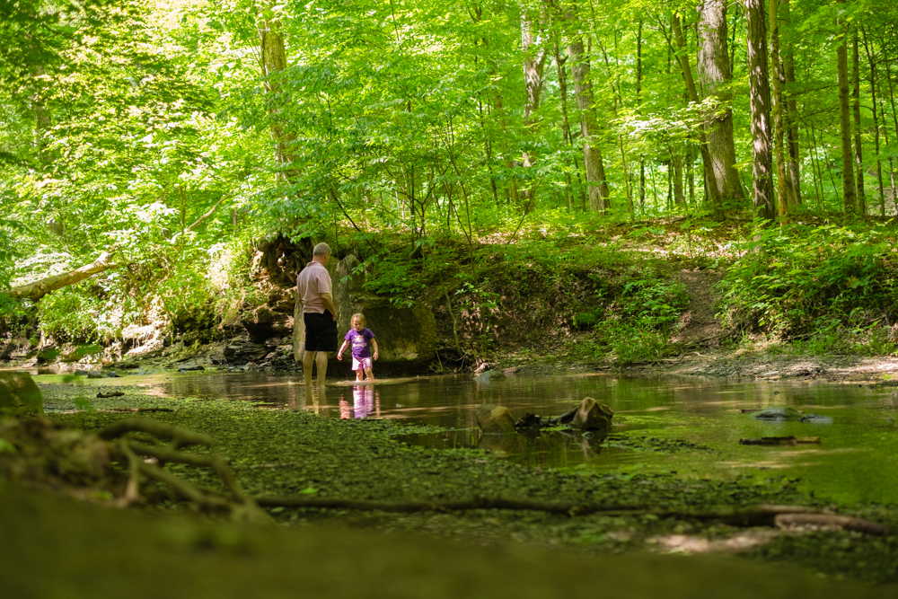 Shale Hollow Park | 6320 Artesian Run, Delaware, OH 43015, USA | Phone: (740) 524-8600