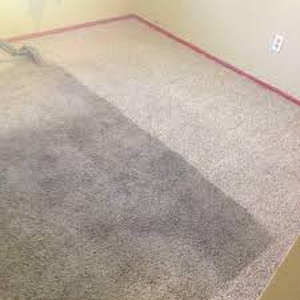 All City Carpet Cleaning | 13616 Branford St, Arleta, CA 91331, USA | Phone: (818) 235-8838