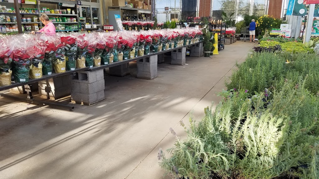 Lowes Garden Center | 13363 W Grand Ave, Surprise, AZ 85374, USA | Phone: (623) 975-6020