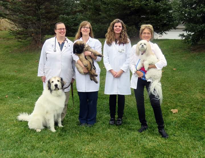 St. Boni Pet Hospital | 8801 Partridge Rd, St Bonifacius, MN 55375, USA | Phone: (952) 446-9113