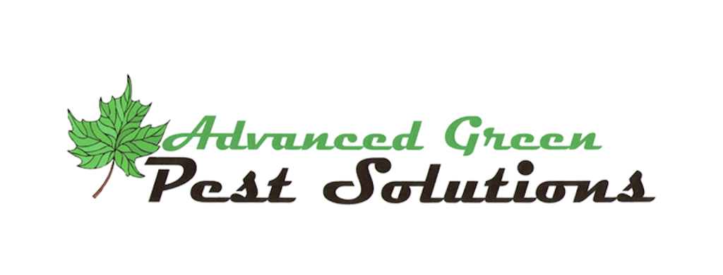 Advanced Green Pest Solutions | 1305 N Harmony Ln, Newberg, OR 97132, USA | Phone: (503) 484-7394