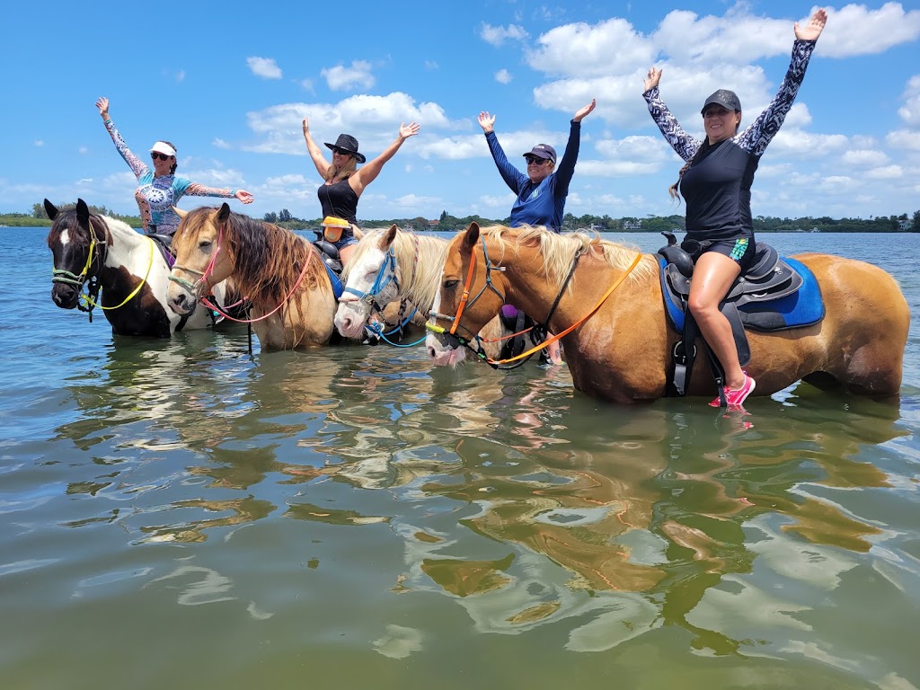 Florida Beach Horses | 8400 Manatee Ave W, Bradenton, FL 34209, USA | Phone: (941) 587-2553