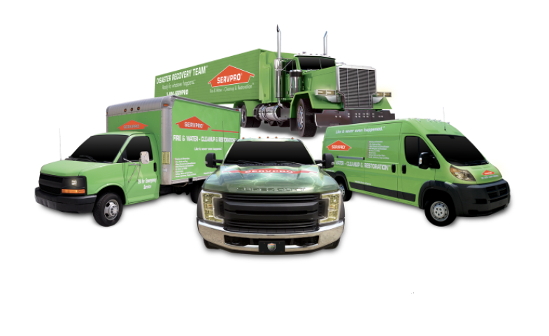 SERVPRO of Doylestown | 1636 Berks Rd, Norristown, PA 19403, USA | Phone: (215) 348-7755