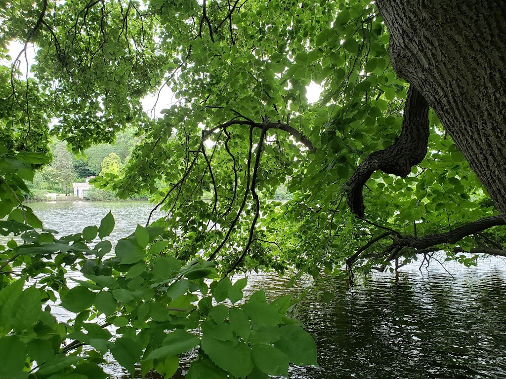 Cranbrook Japanese Gardens | 700 Cranbrook Rd, Bloomfield Hills, MI 48304, USA | Phone: (248) 645-3147