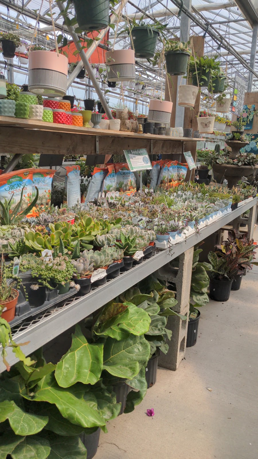 Badding Farm Market and Garden Center | 10820 Transit Rd, East Amherst, NY 14051, USA | Phone: (716) 636-7824