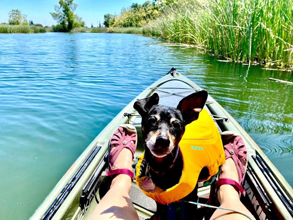 Headwaters Kayak & SUP Rentals | 1101 W Turner Rd, Lodi, CA 95242, USA | Phone: (209) 471-5988