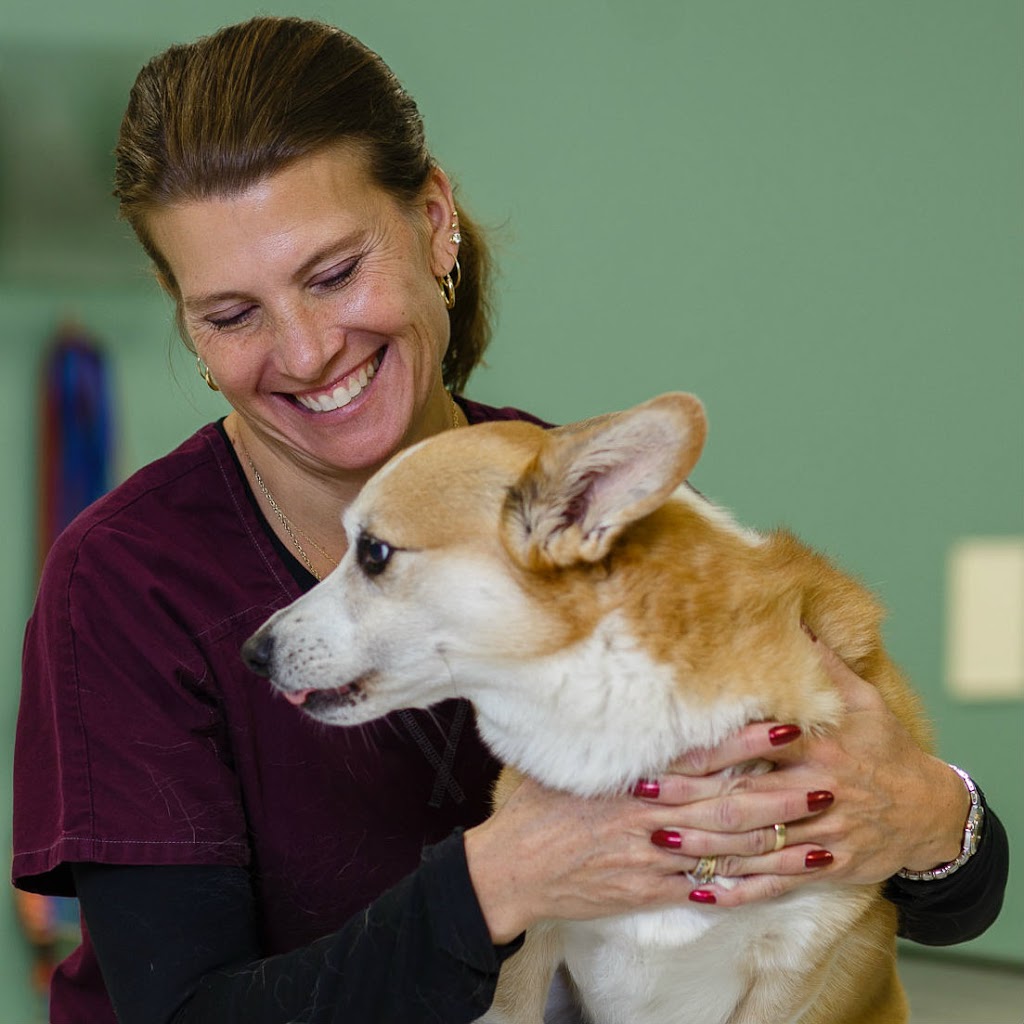 Pet Partners Animal Clinic | W248 N5250 Executive Dr, Sussex, WI 53089, USA | Phone: (262) 212-2200