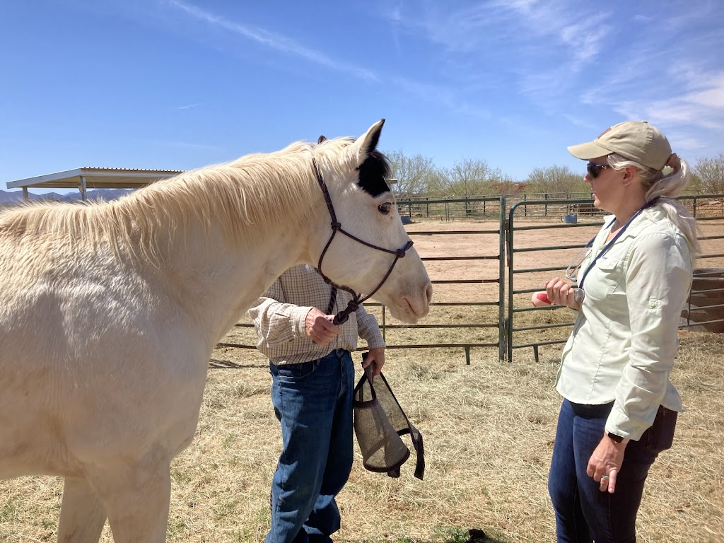 Adobe Veterinary Center | 8300 E Tanque Verde Rd, Tucson, AZ 85749 | Phone: (520) 546-8387