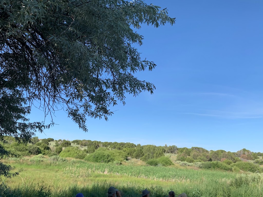 Leonora Curtin Wetland Preserve | 49A W Frontage Rd, Santa Fe, NM 87507, USA | Phone: (505) 471-2261