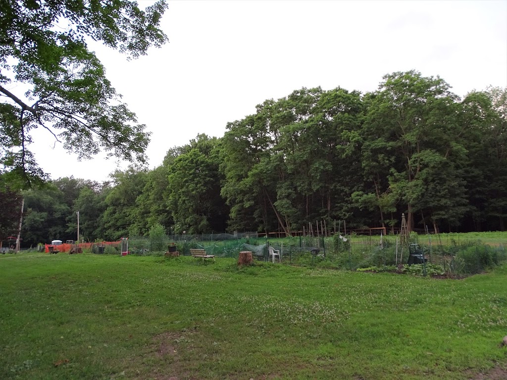 Lily Dale Community Gardens | East St, Lily Dale, NY 14752, USA | Phone: (716) 595-8721