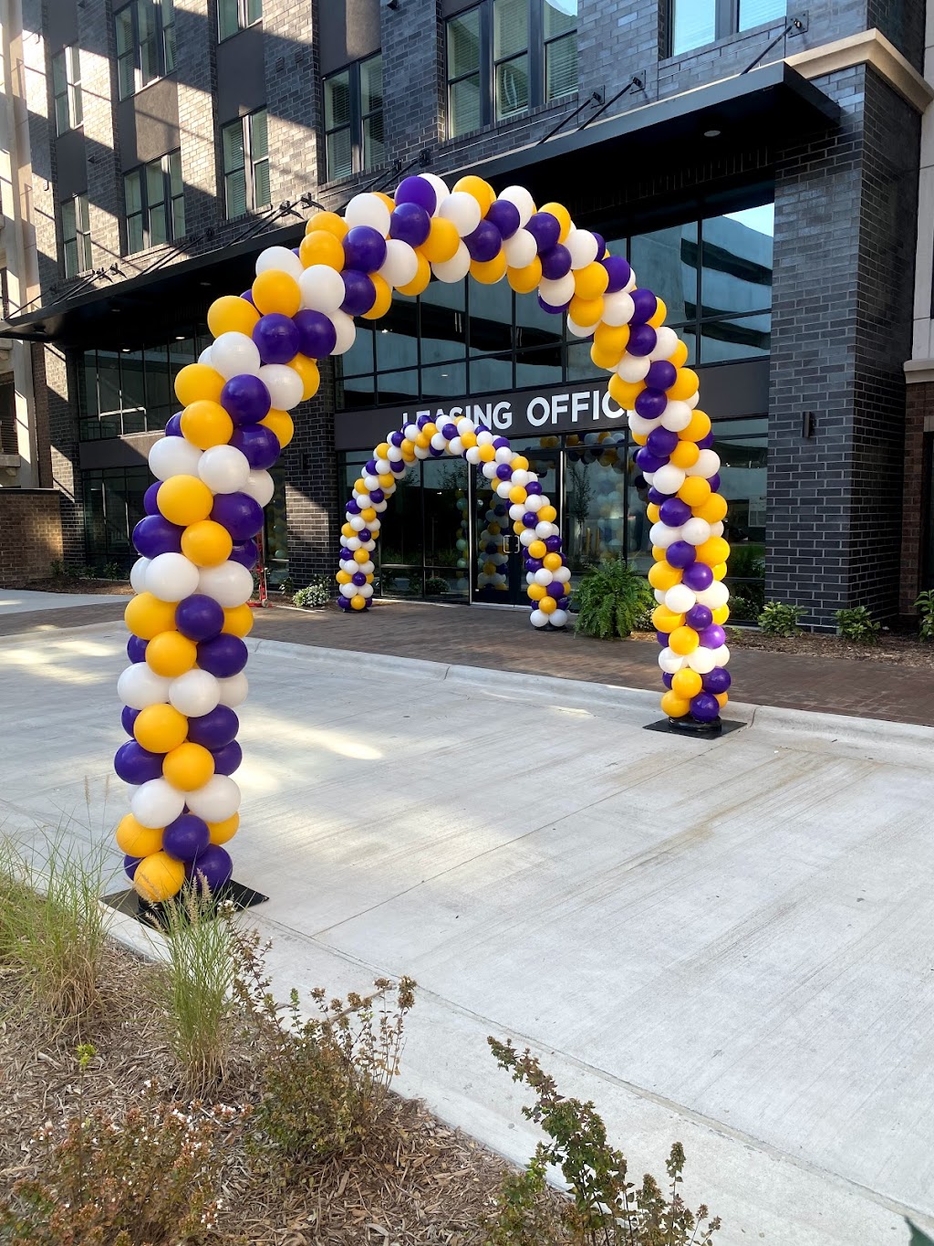 PARTY BALLOONS BY Q | 132 Jeffress Dr, Louisburg, NC 27549, USA | Phone: (919) 899-4700