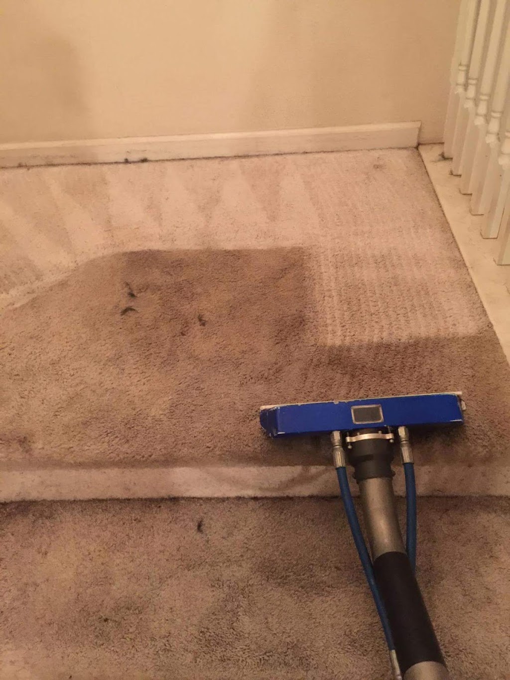 Valley Pro Carpet Care | 309 Del Prado Ct, Modesto, CA 95351, USA | Phone: (209) 505-8068