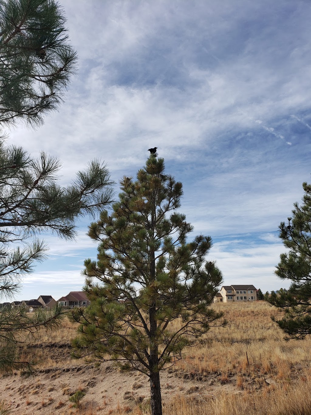 The Estates Trail | The Estates of, Meridian Ranch Blvd, Peyton, CO 80831, USA | Phone: (719) 495-6567