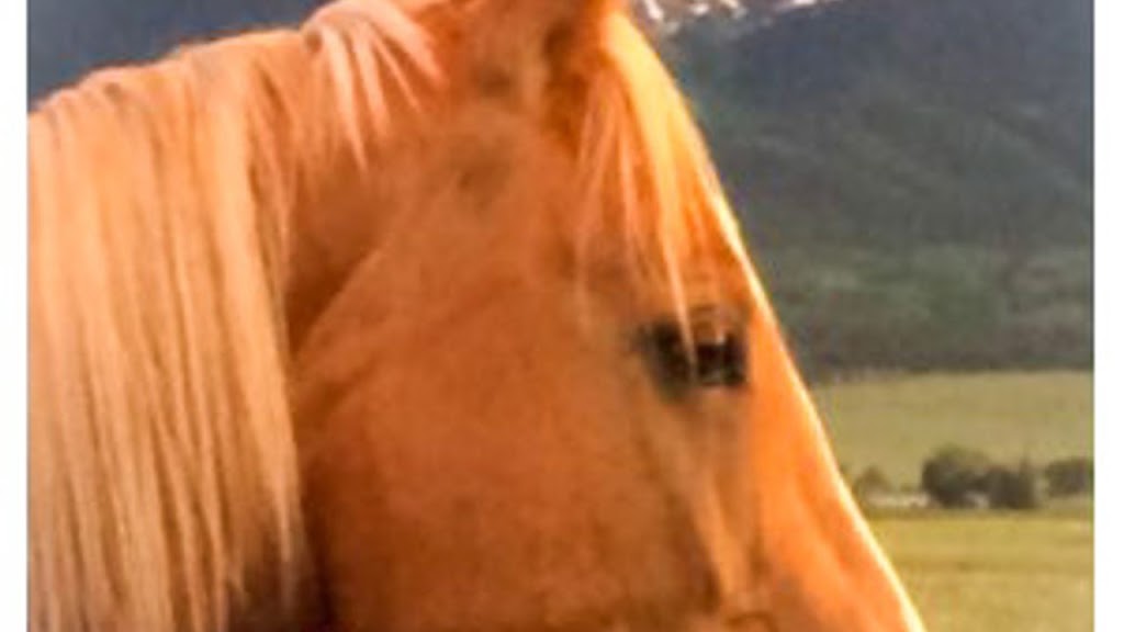 Colorado Horse Hemp Pellets | 6635 W 28th St, Greeley, CO 80634, USA | Phone: (719) 469-3949