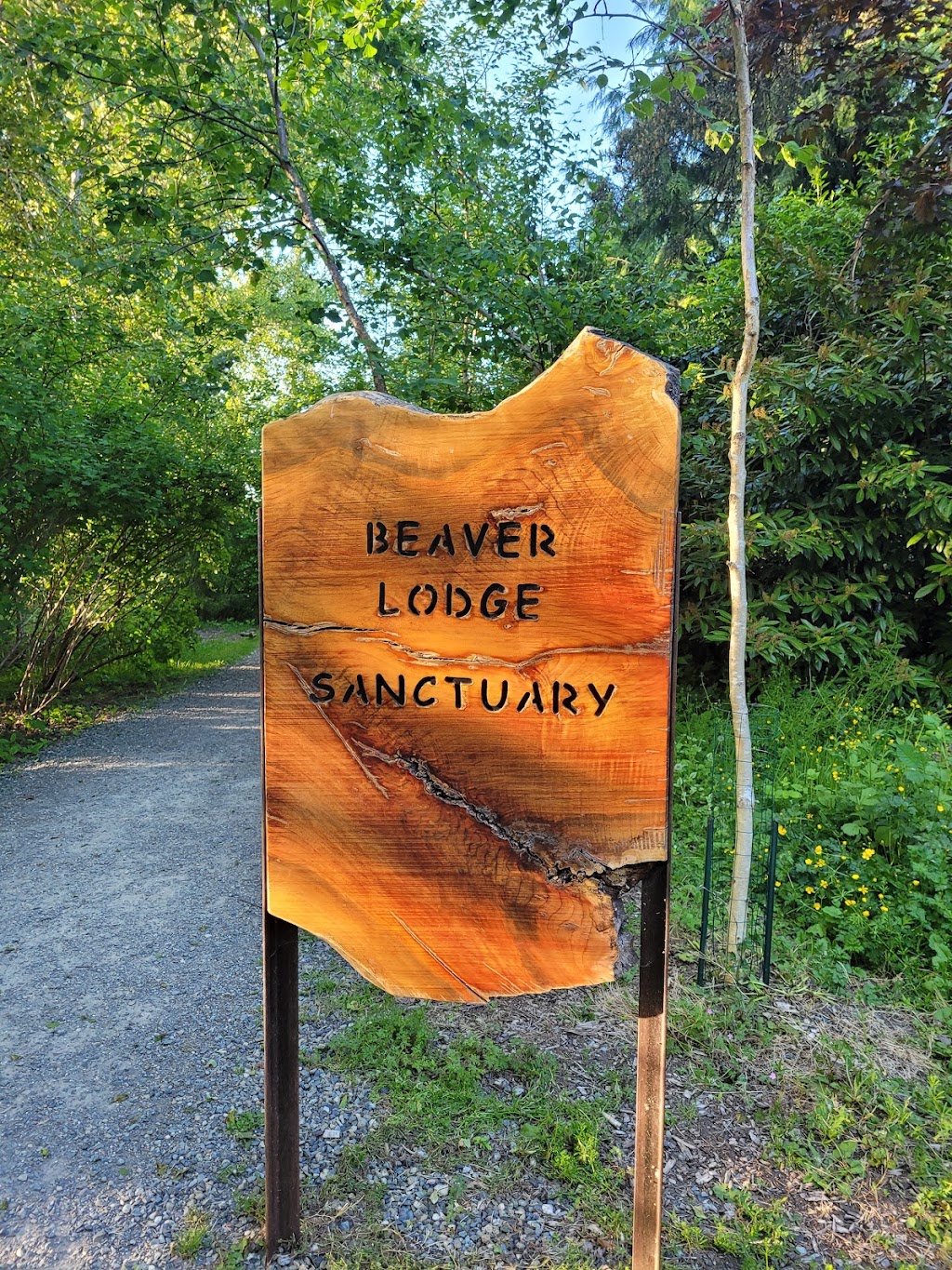 Beaver Lodge Sanctuary | 37th Ave E, Seattle, WA 98112, USA | Phone: (206) 684-5146