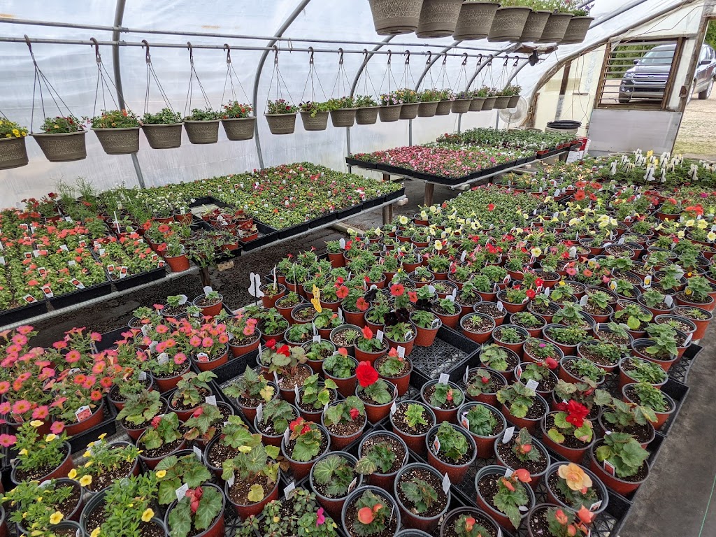 Bell Gardens and Greenhouses | 6775 S 400 E, Wolcottville, IN 46795, USA | Phone: (260) 854-2712