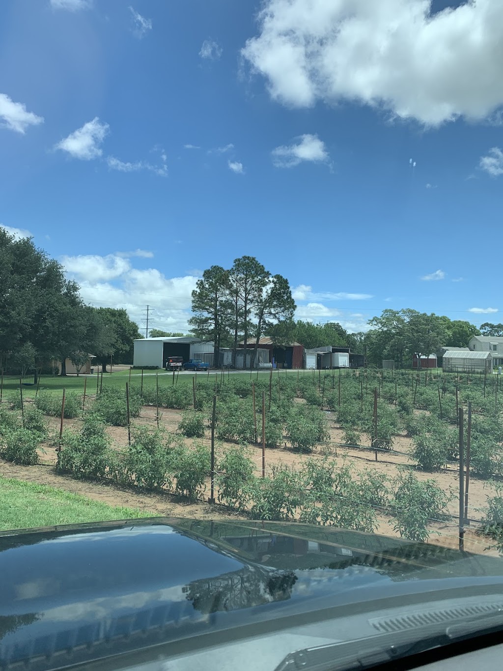 Demases Farm | 496 Co Rd 4756, Boyd, TX 76023, USA | Phone: (940) 577-0203