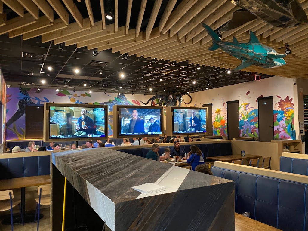 Mellow Mushroom Durbin Park | 295 Durbin Pavilion Dr, St Johns, FL 32259, USA | Phone: (904) 439-7575