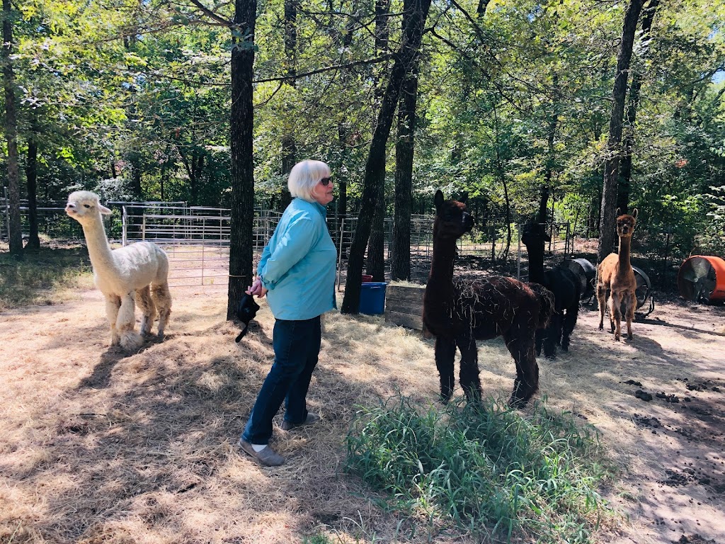 Timber Lodge Alpacas | 1241 Brooks Ln, Kaufman, TX 75142, USA | Phone: (972) 962-8317