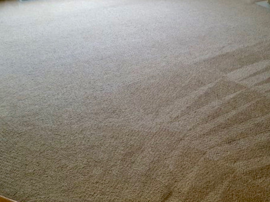 Edens Carpet Cleaning Professionals | 1220 N Greenville Ave, Allen, TX 75002, USA | Phone: (972) 362-9830