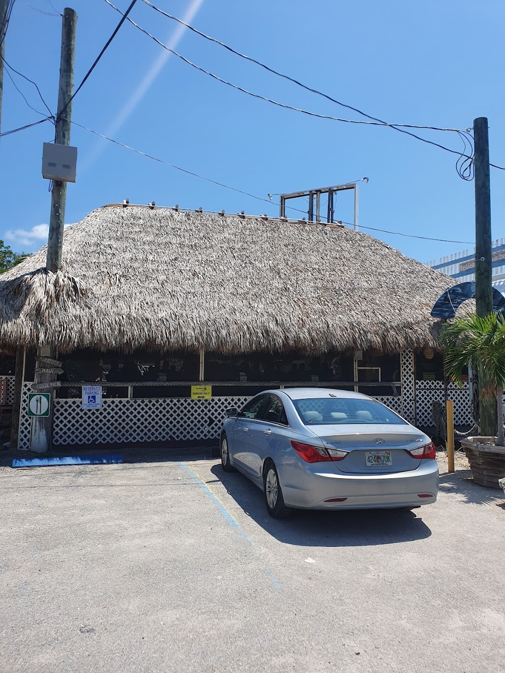 Blackwater Siren | 107690 Overseas Hwy, Key Largo, FL 33037, USA | Phone: (305) 780-7382