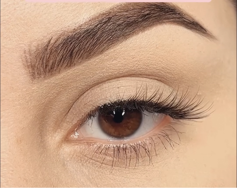 Ariava Brows & Beauty | 231 N Northwest Hwy, Park Ridge, IL 60068 | Phone: (773) 942-6336