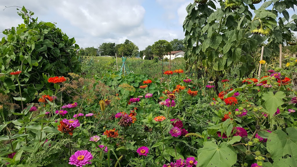 Sun Prairie Community Gardens | 1320-1350 Linnerud Dr, Sun Prairie, WI 53590 | Phone: (608) 837-5877