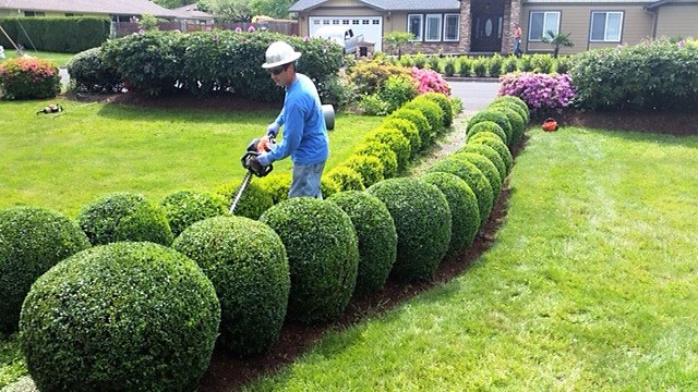 Frontier Landscaping | 11402 NE St Johns Rd, Vancouver, WA 98686 | Phone: (360) 574-8979