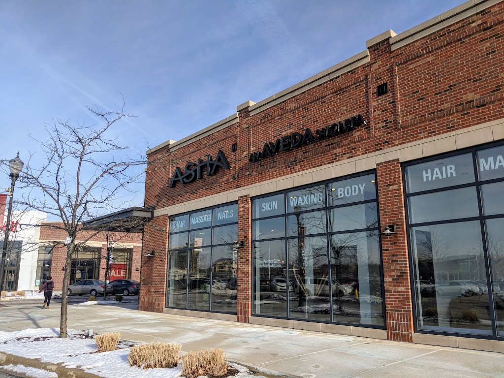 Asha SalonSpa Butterfield | 352 Yorktown Shopping Center, Lombard, IL 60148, USA | Phone: (630) 953-1400