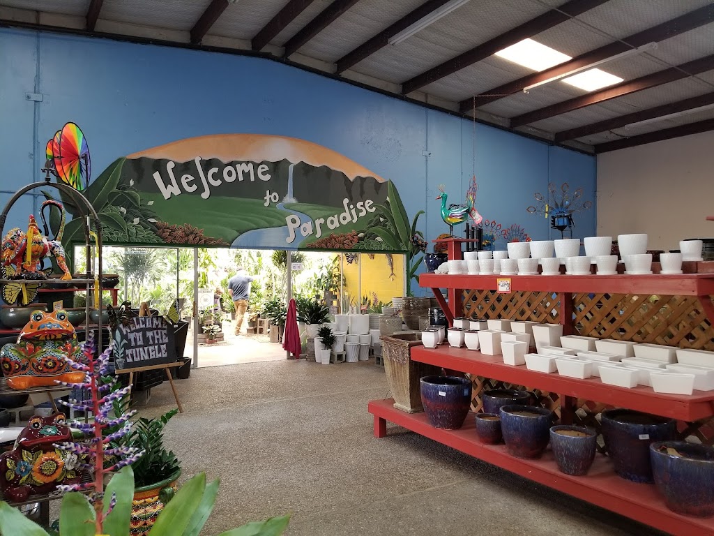 Plants & Planters | 1050 N Greenville Ave, Richardson, TX 75081 | Phone: (972) 699-1281